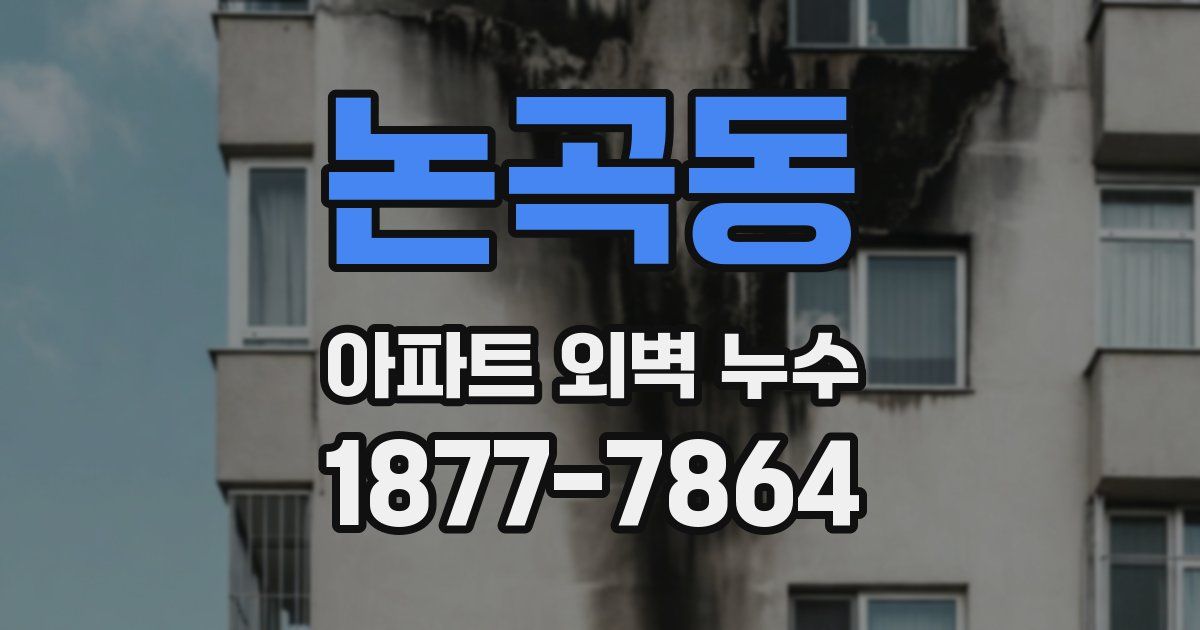 논곡동 아파트 외벽 누수