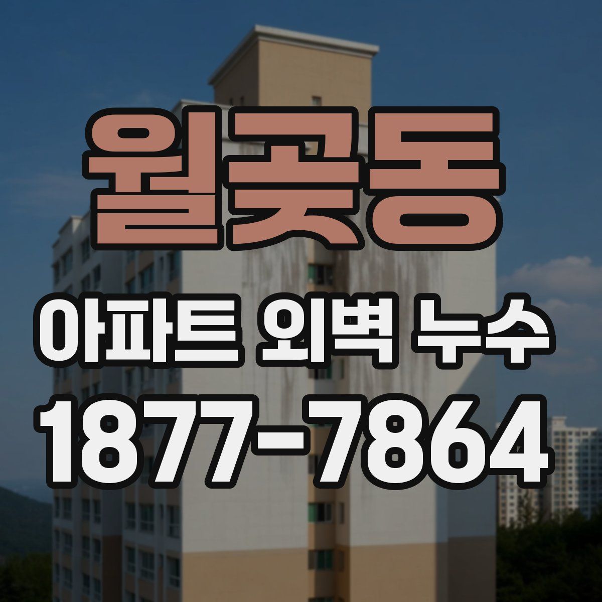 월곶동 아파트 외벽 누수