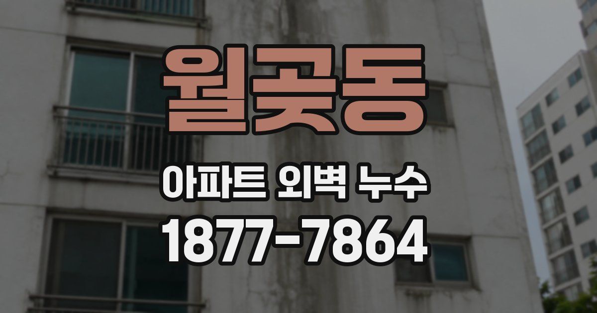 월곶동 아파트 외벽 누수