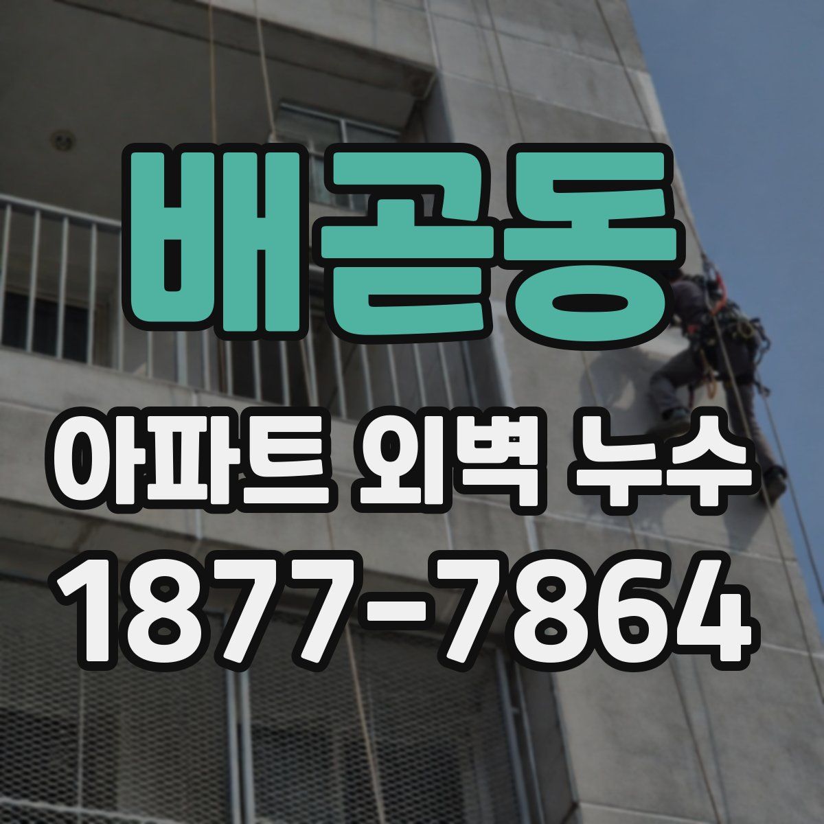 배곧동 아파트 외벽 누수