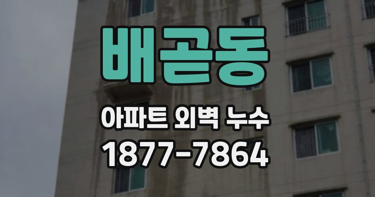 배곧동 아파트 외벽 누수