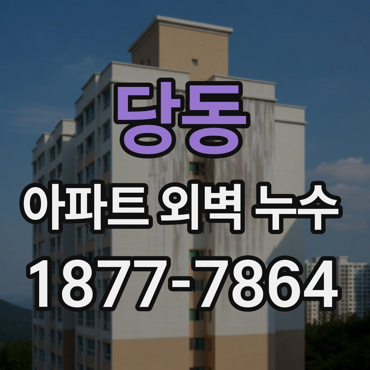 당동 아파트 외벽 누수