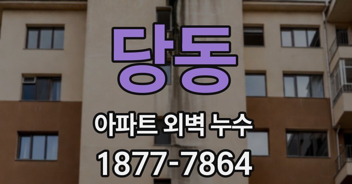당동 아파트 외벽 누수
