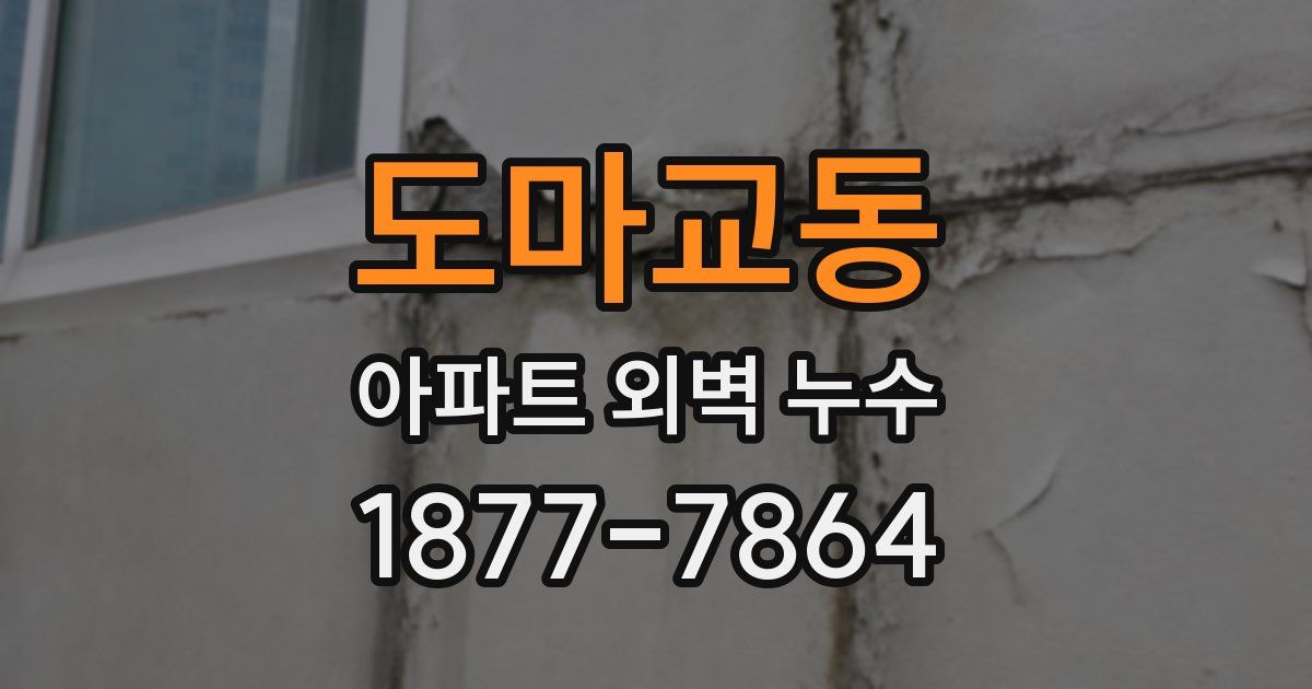 도마교동 아파트 외벽 누수