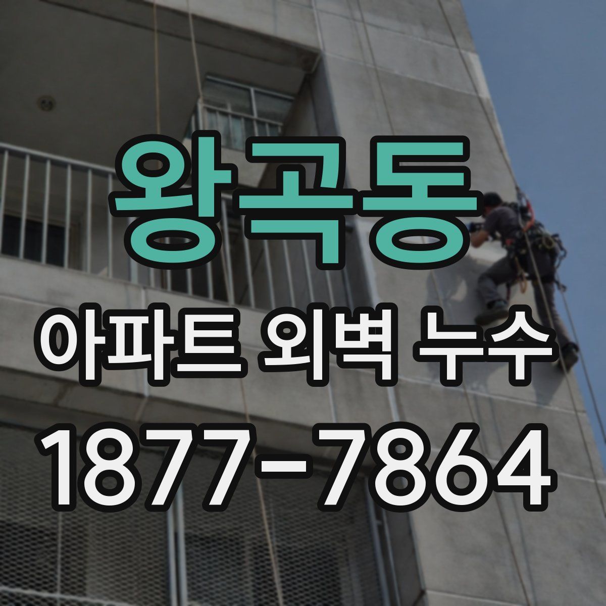왕곡동 아파트 외벽 누수