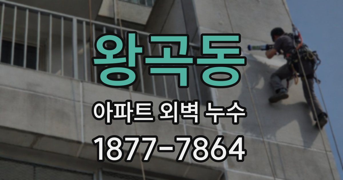 왕곡동 아파트 외벽 누수