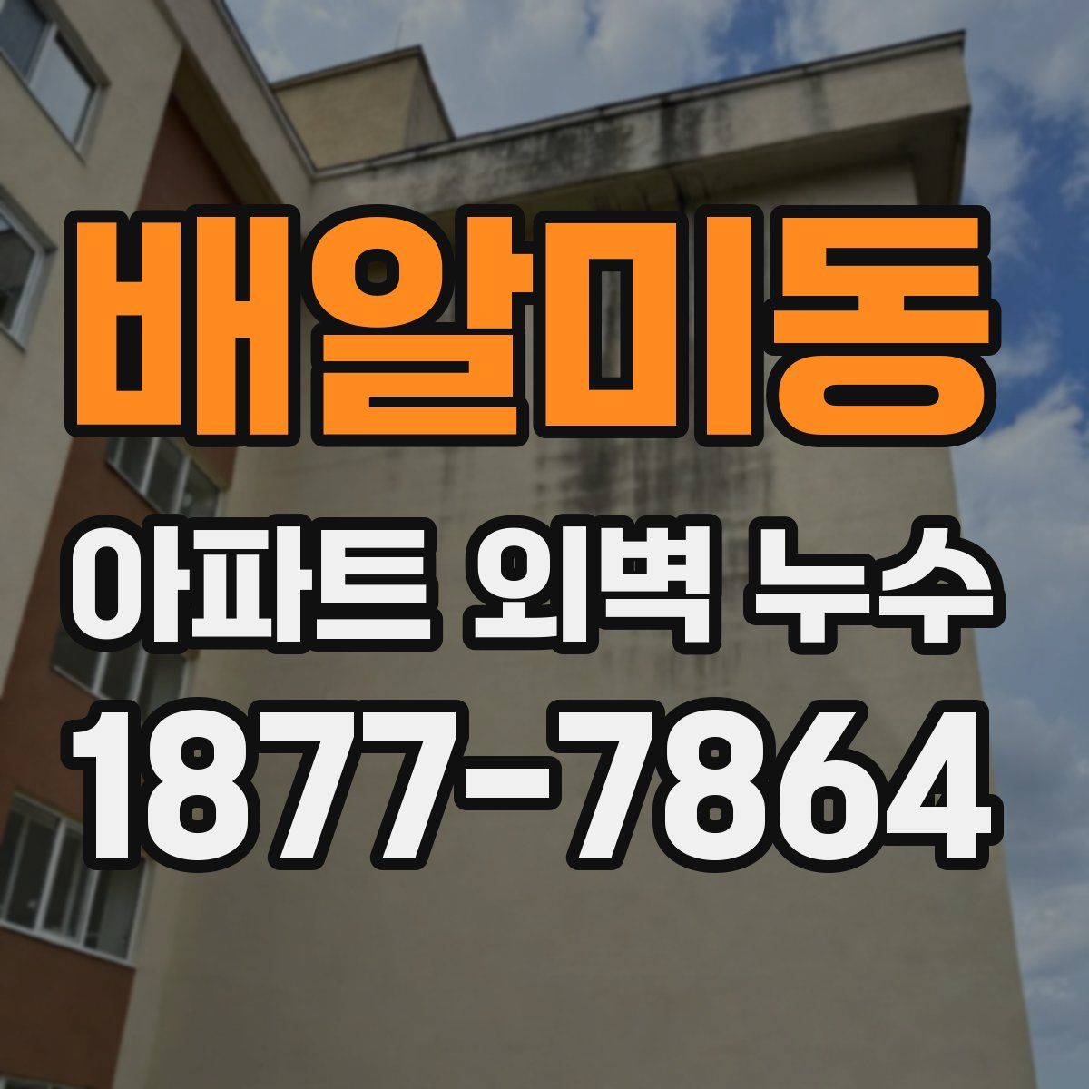 배알미동 아파트 외벽 누수