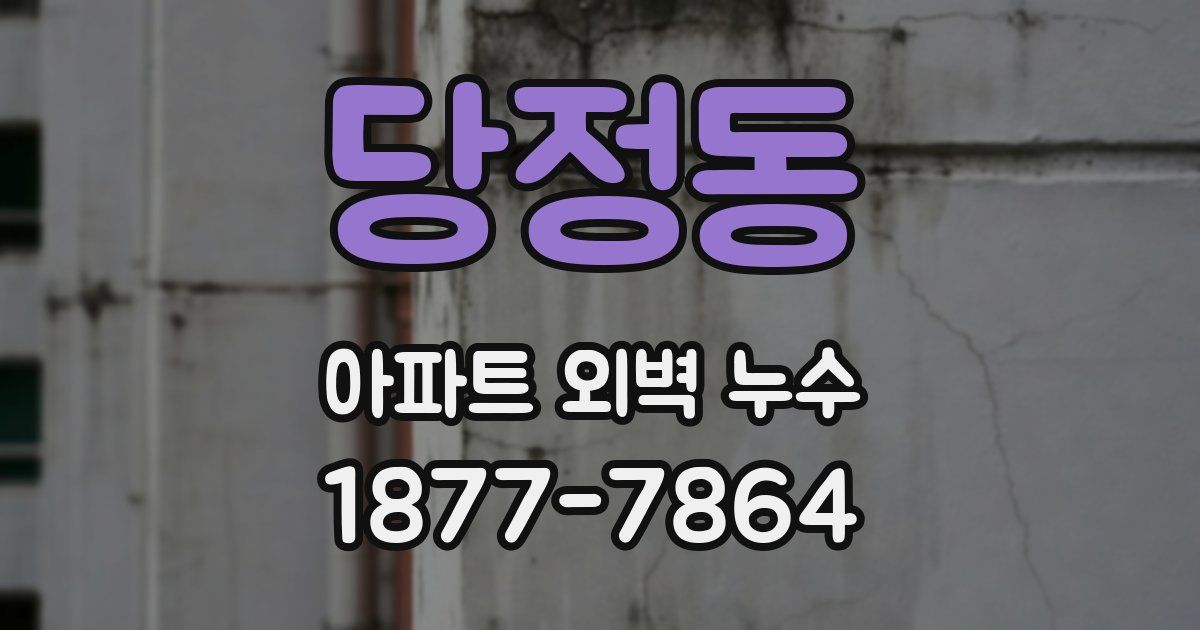 당정동 아파트 외벽 누수