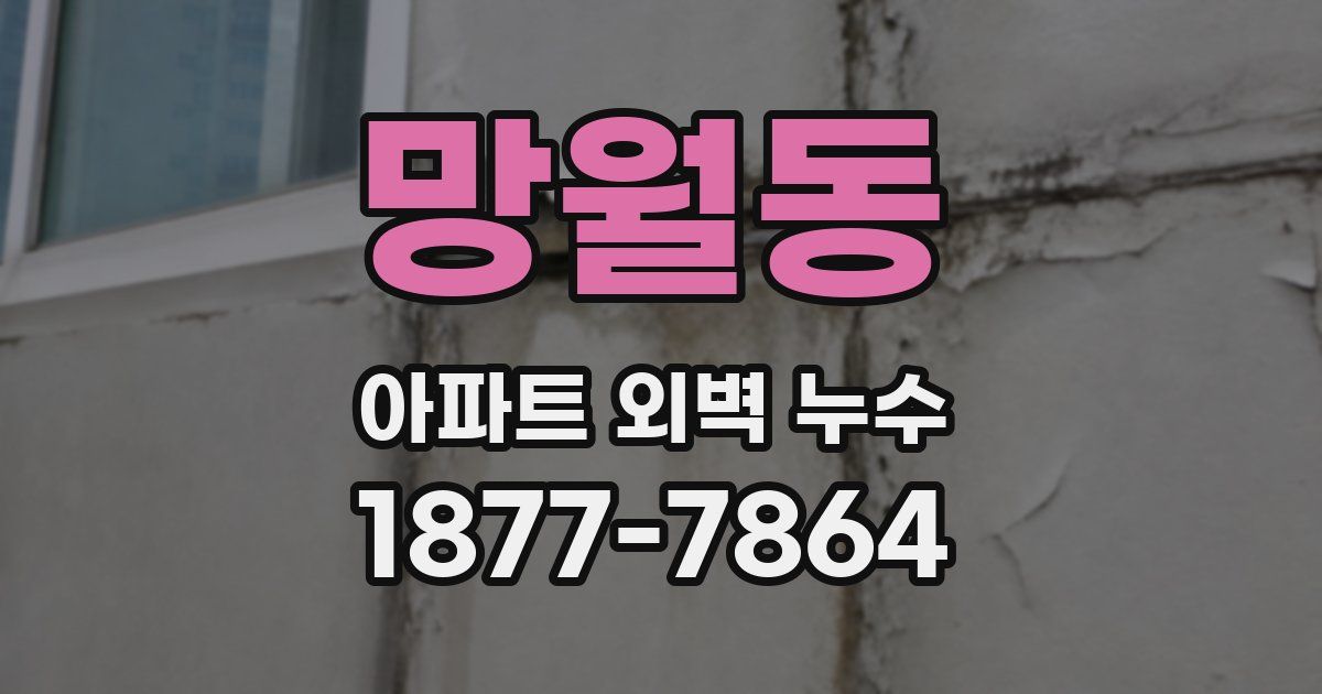망월동 아파트 외벽 누수