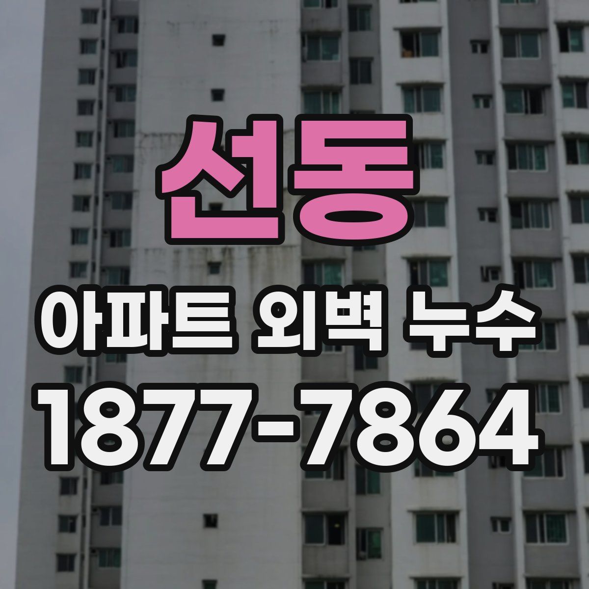 선동 아파트 외벽 누수
