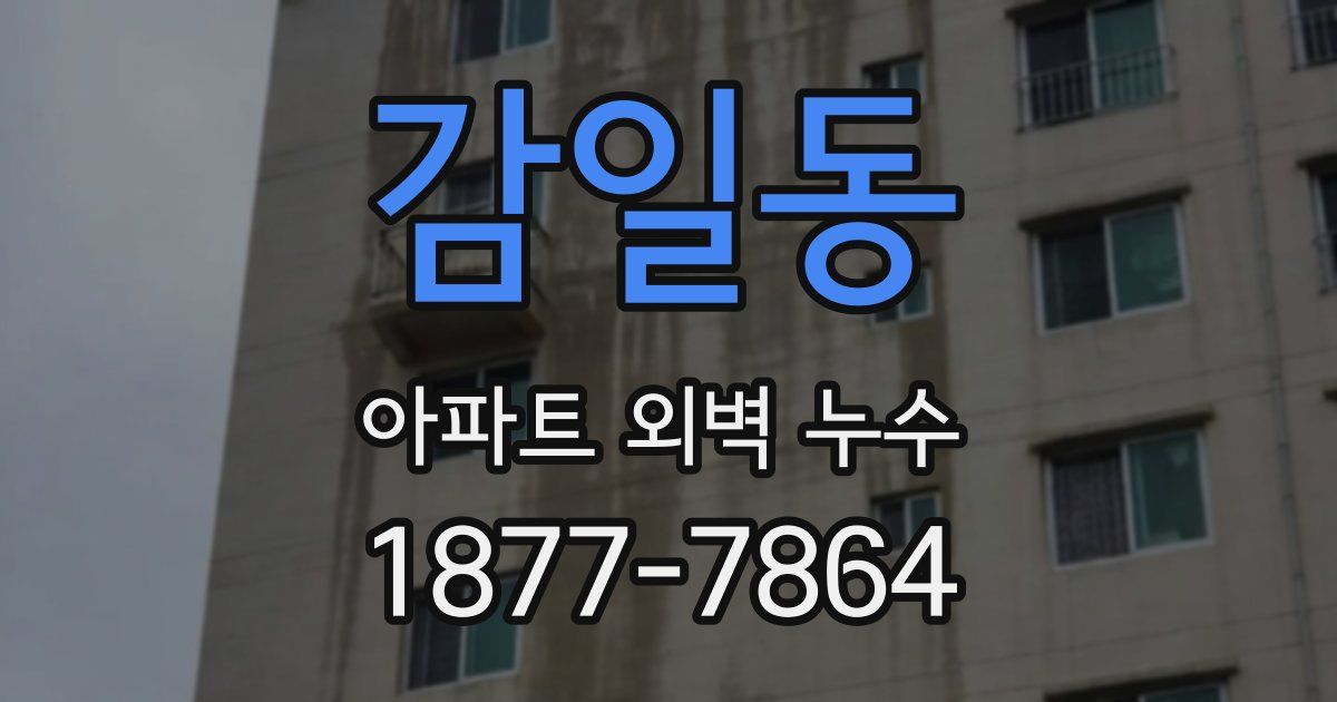 감일동 아파트 외벽 누수