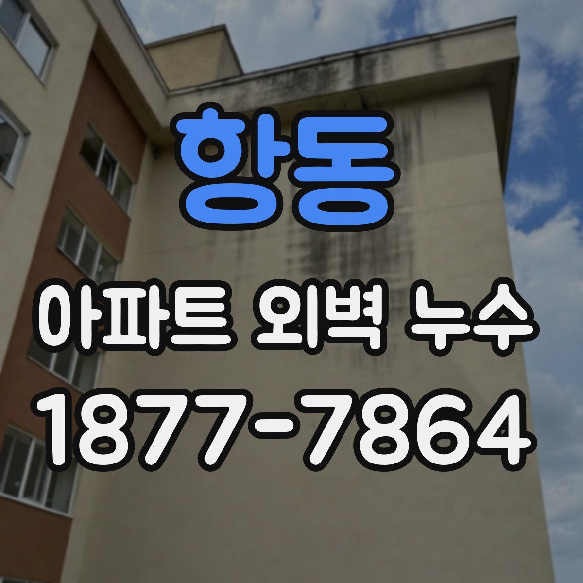항동 아파트 외벽 누수