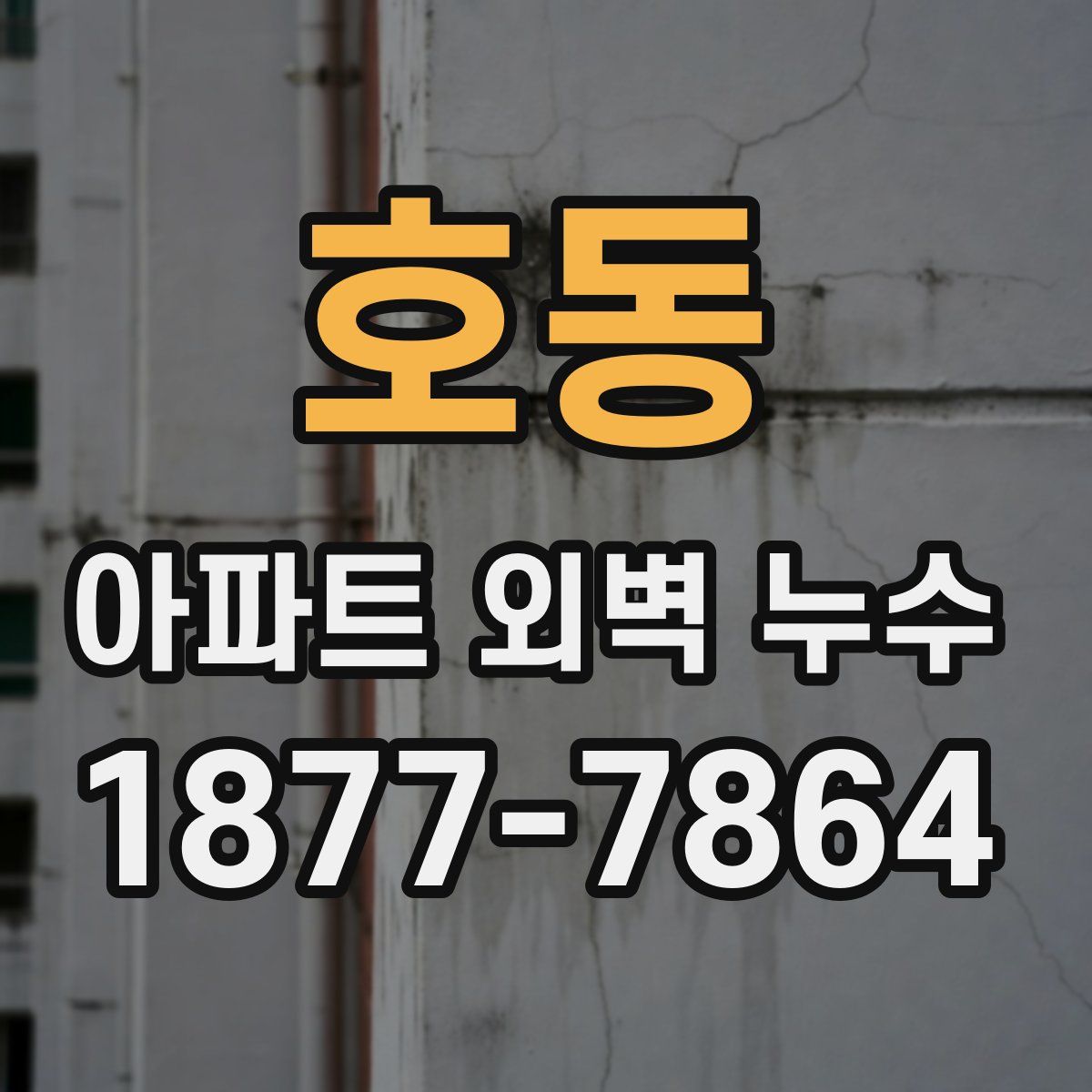 호동 아파트 외벽 누수