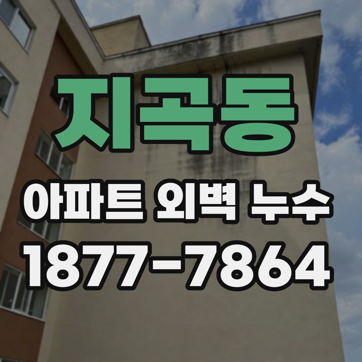지곡동 아파트 외벽 누수