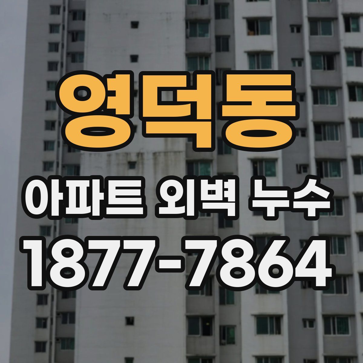 영덕동 아파트 외벽 누수