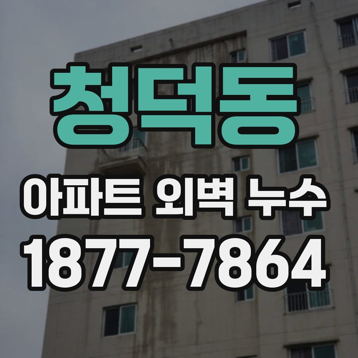 청덕동 아파트 외벽 누수