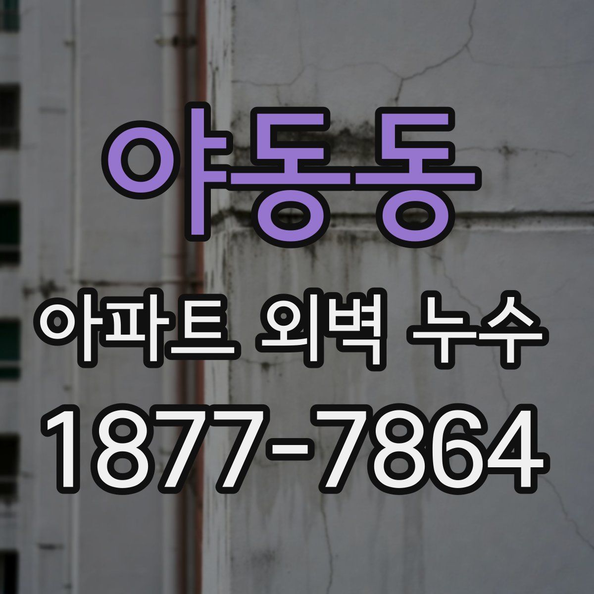야동동 아파트 외벽 누수