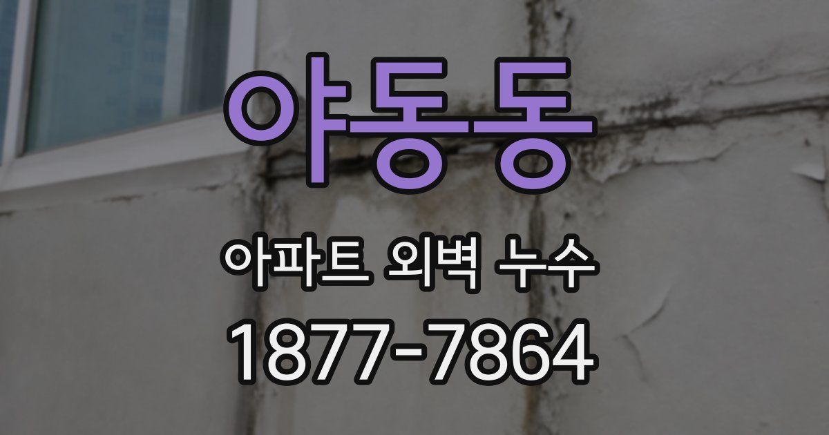야동동 아파트 외벽 누수