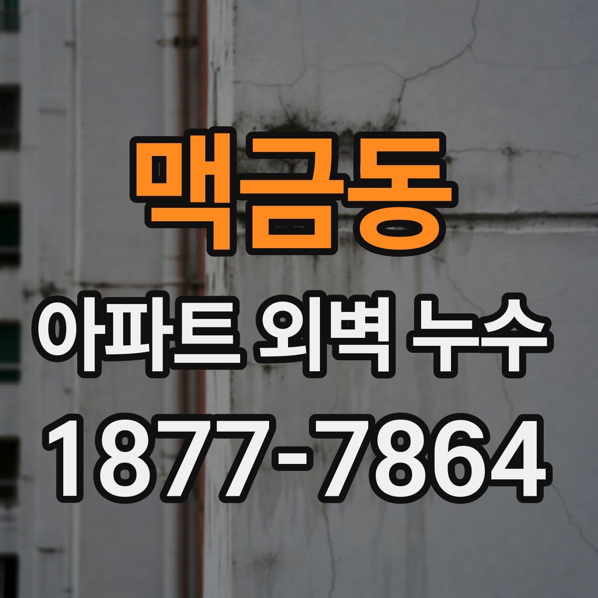 맥금동 아파트 외벽 누수