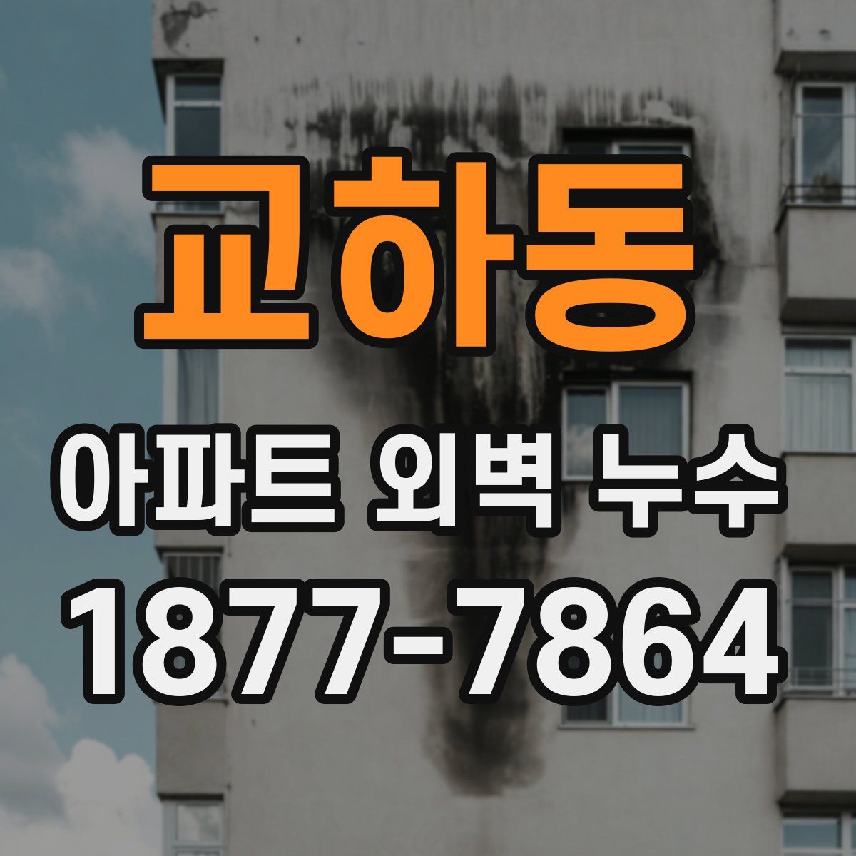 교하동 아파트 외벽 누수