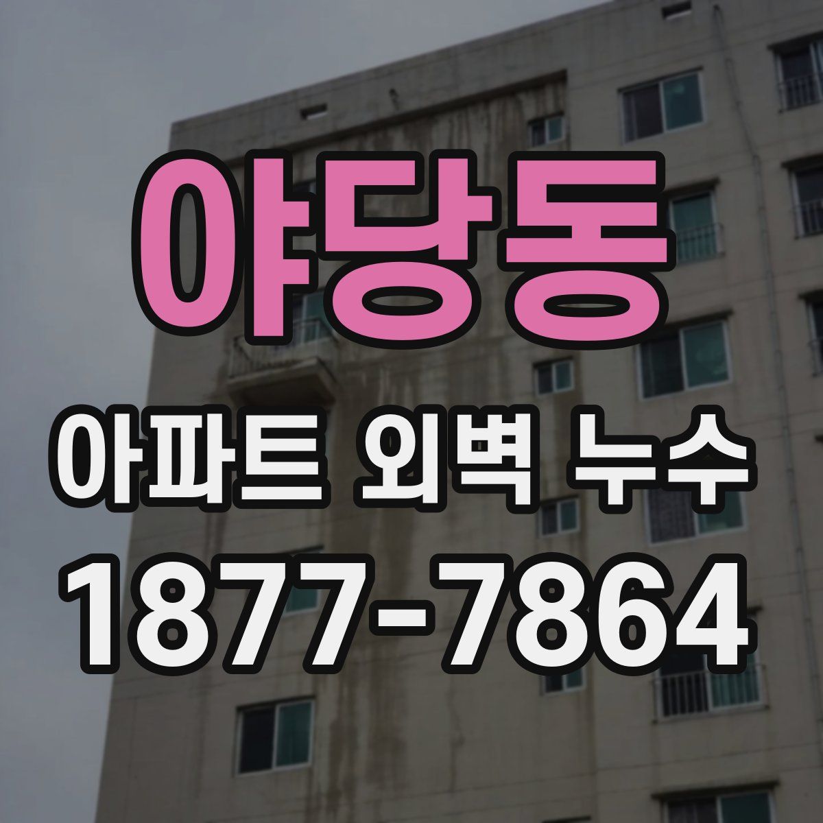 야당동 아파트 외벽 누수