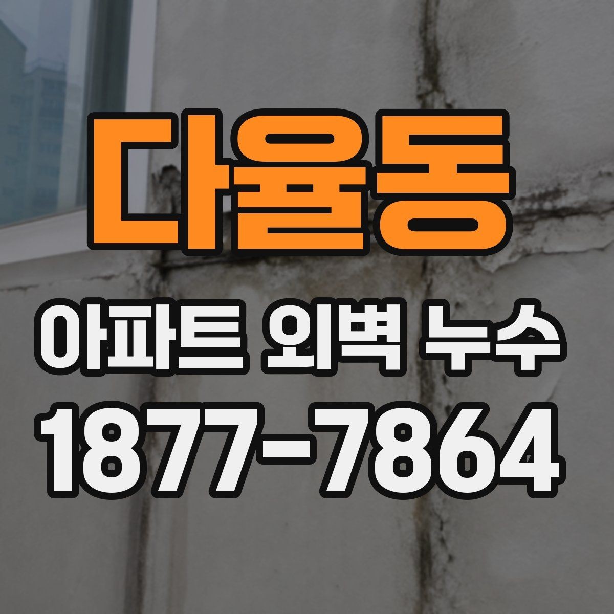 다율동 아파트 외벽 누수 수리 전 사진으로 남겨야 할 것