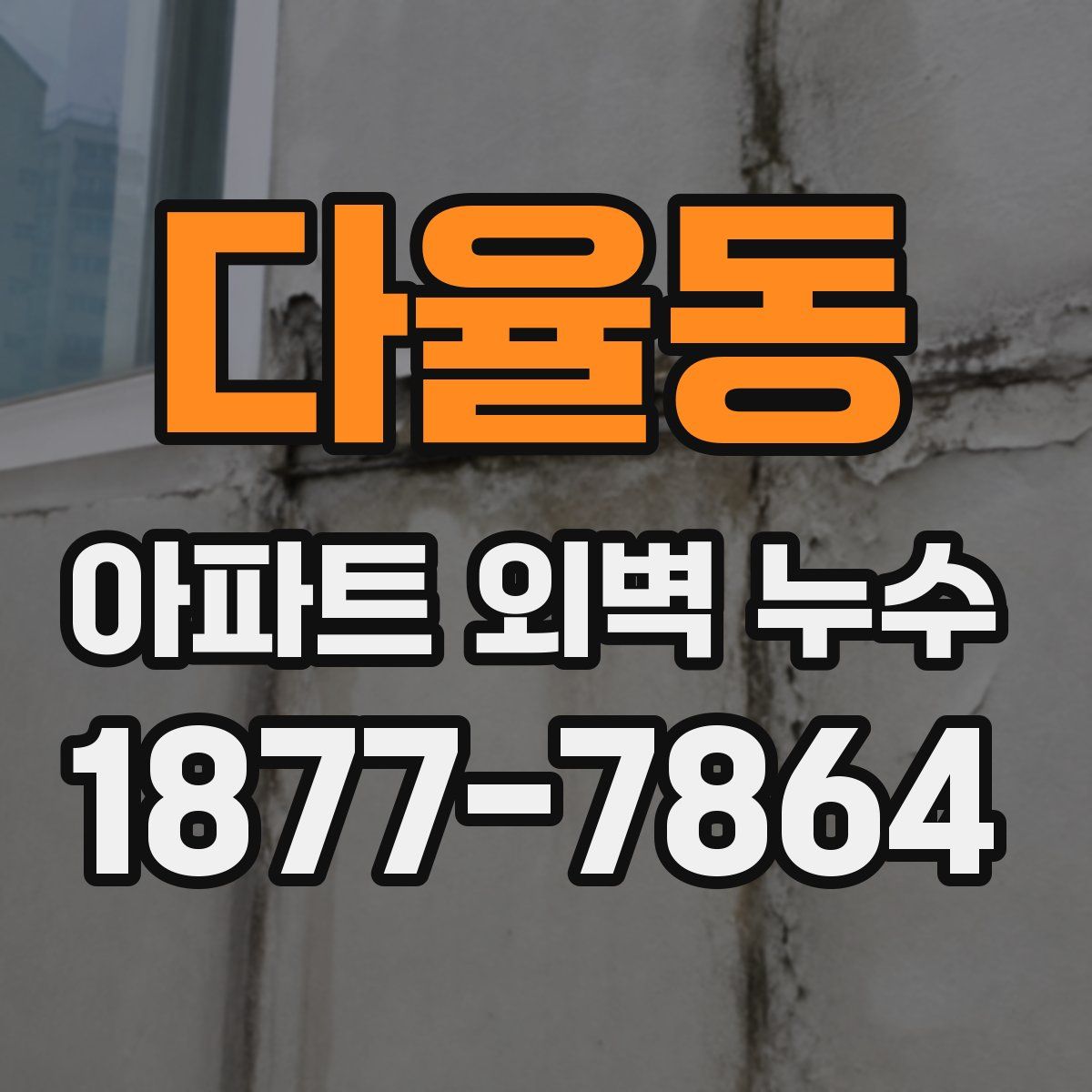 다율동 아파트 외벽 누수