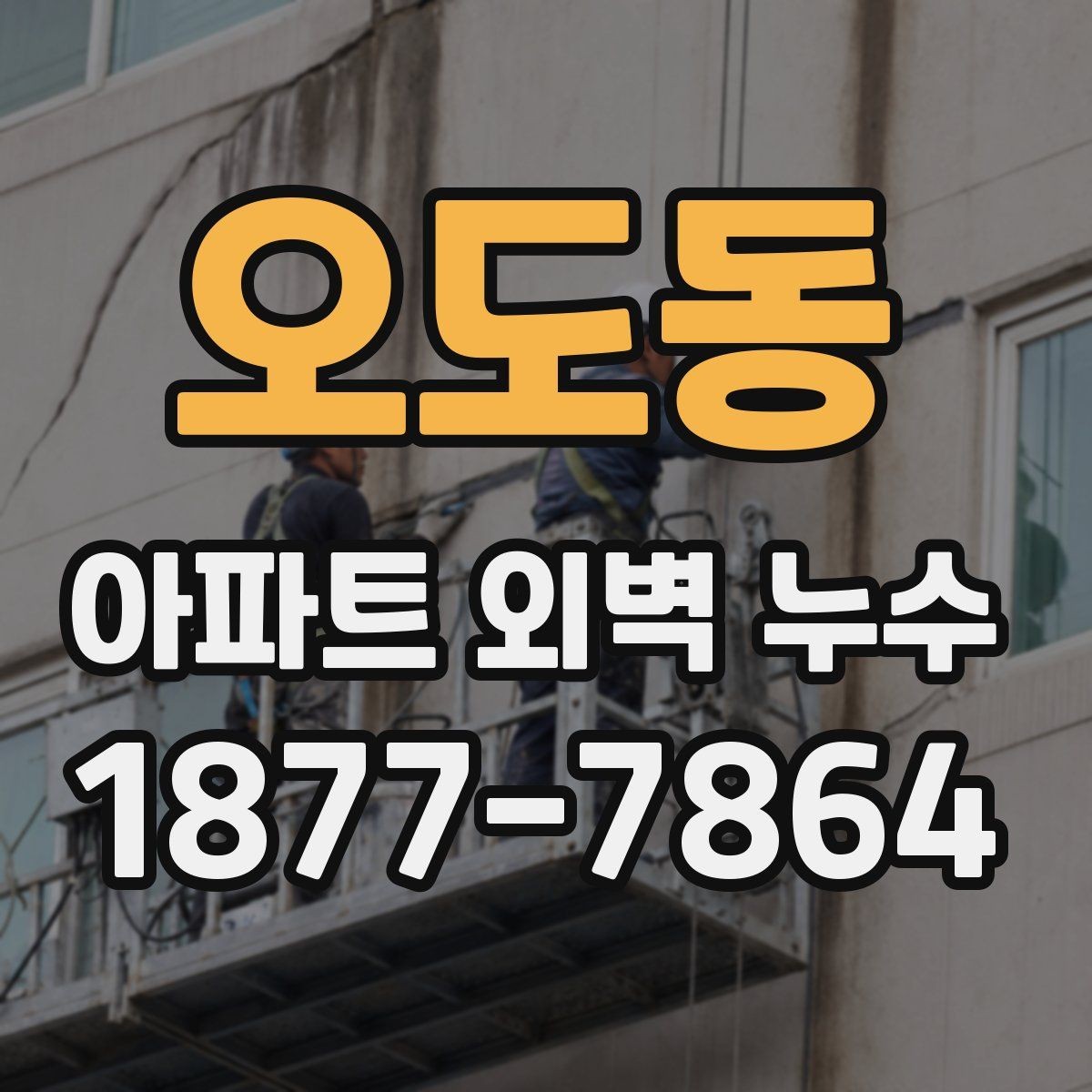 오도동 아파트 외벽 누수 확인할 때 먼저 볼 곳