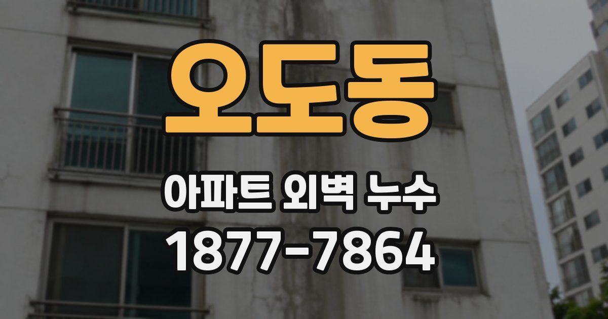 오도동 아파트 외벽 누수