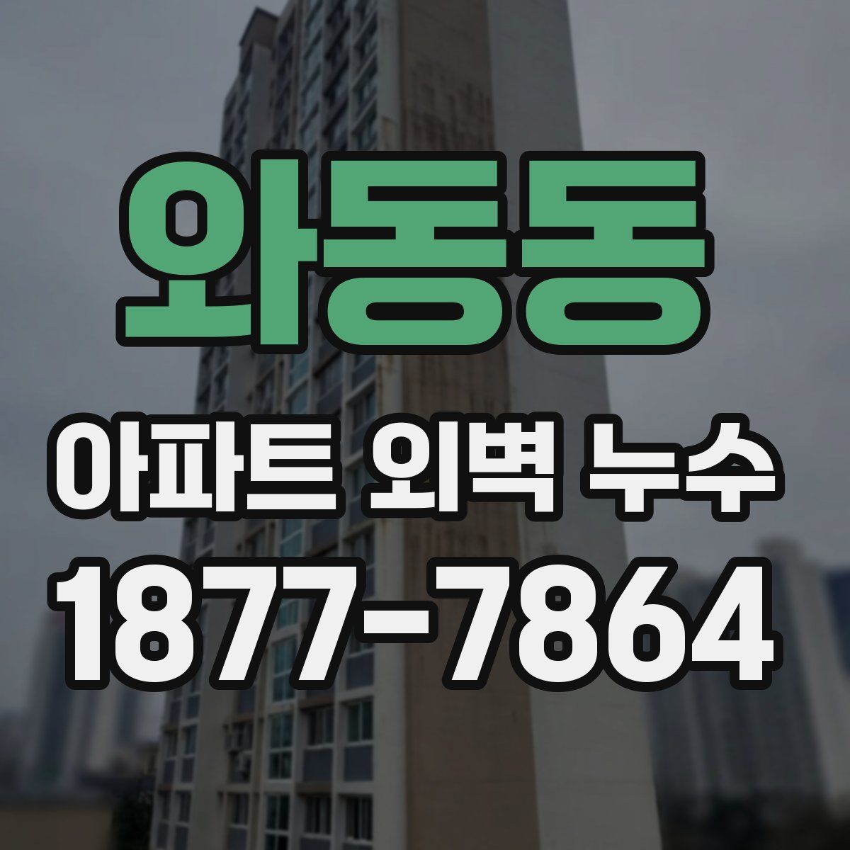 와동동 아파트 외벽 누수