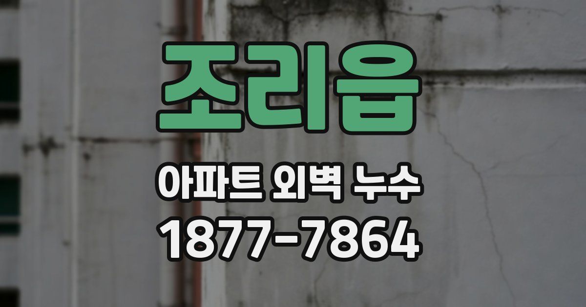 조리읍 아파트 외벽 누수