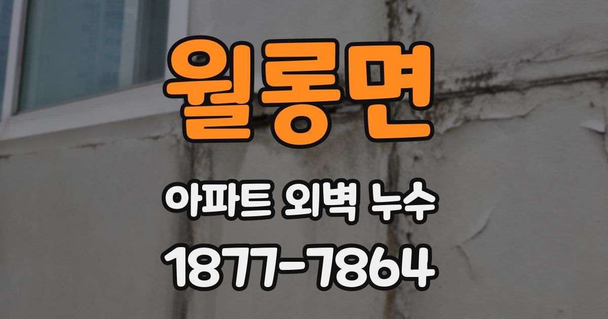 월롱면 아파트 외벽 누수