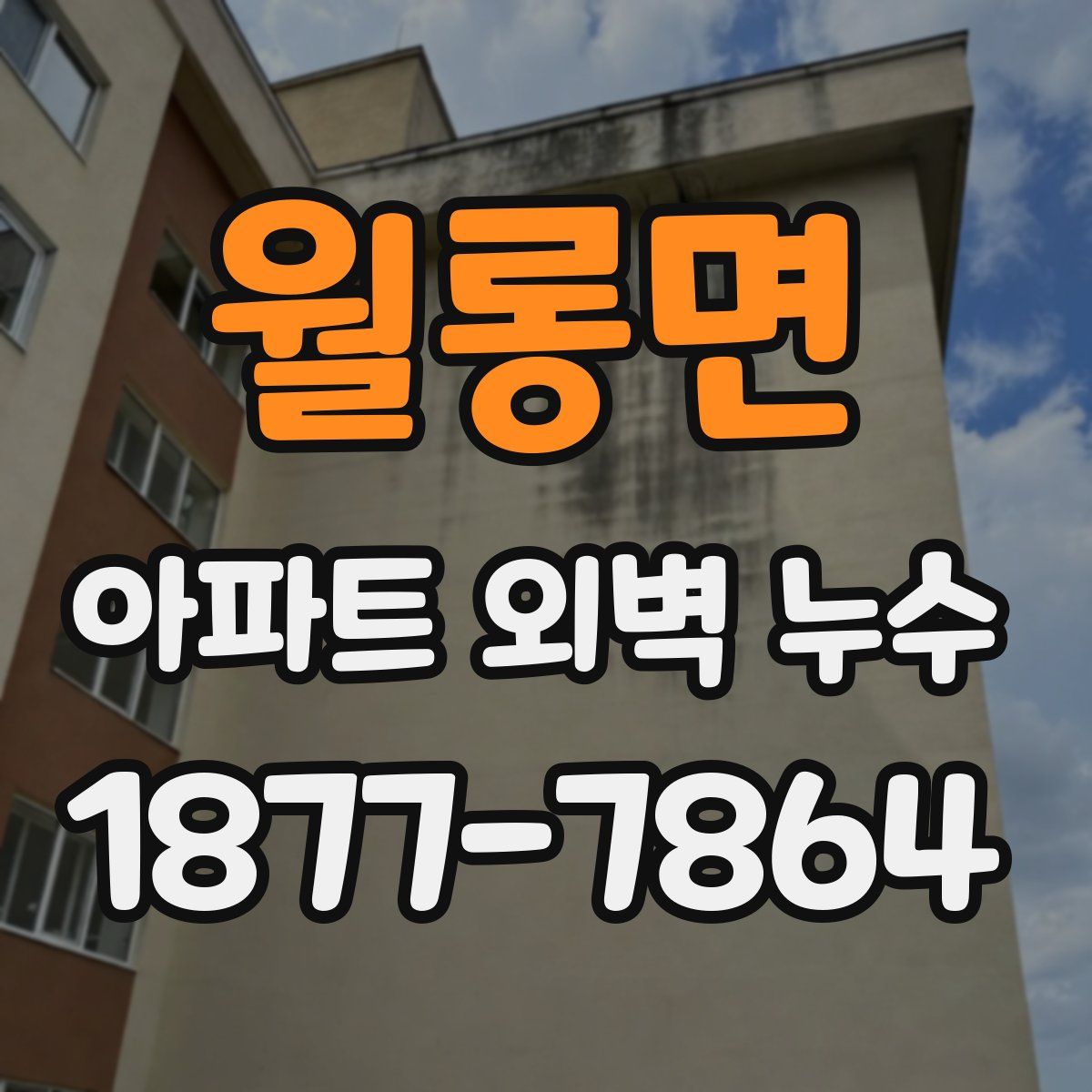월롱면 아파트 외벽 누수