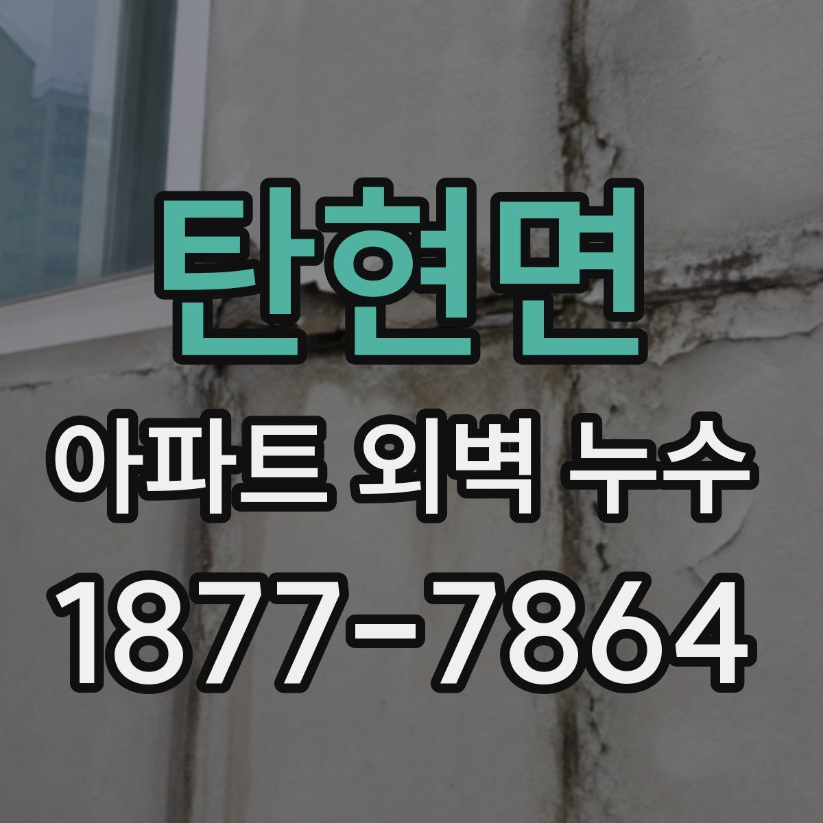 탄현면 아파트 외벽 누수