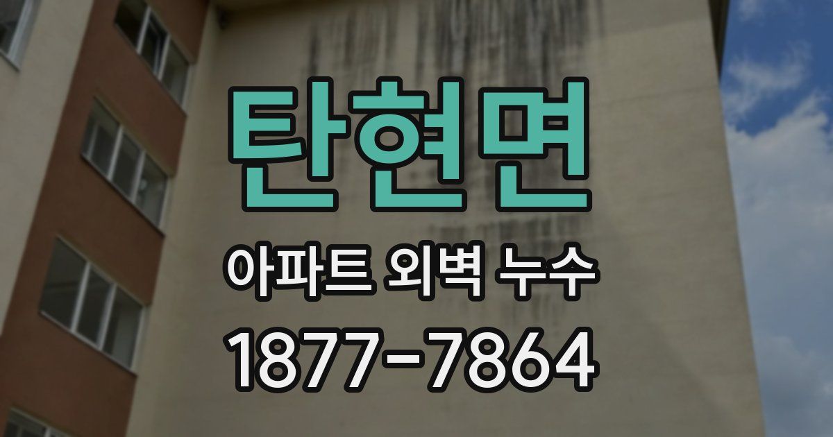 탄현면 아파트 외벽 누수