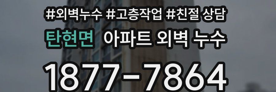 탄현면 아파트 외벽 누수