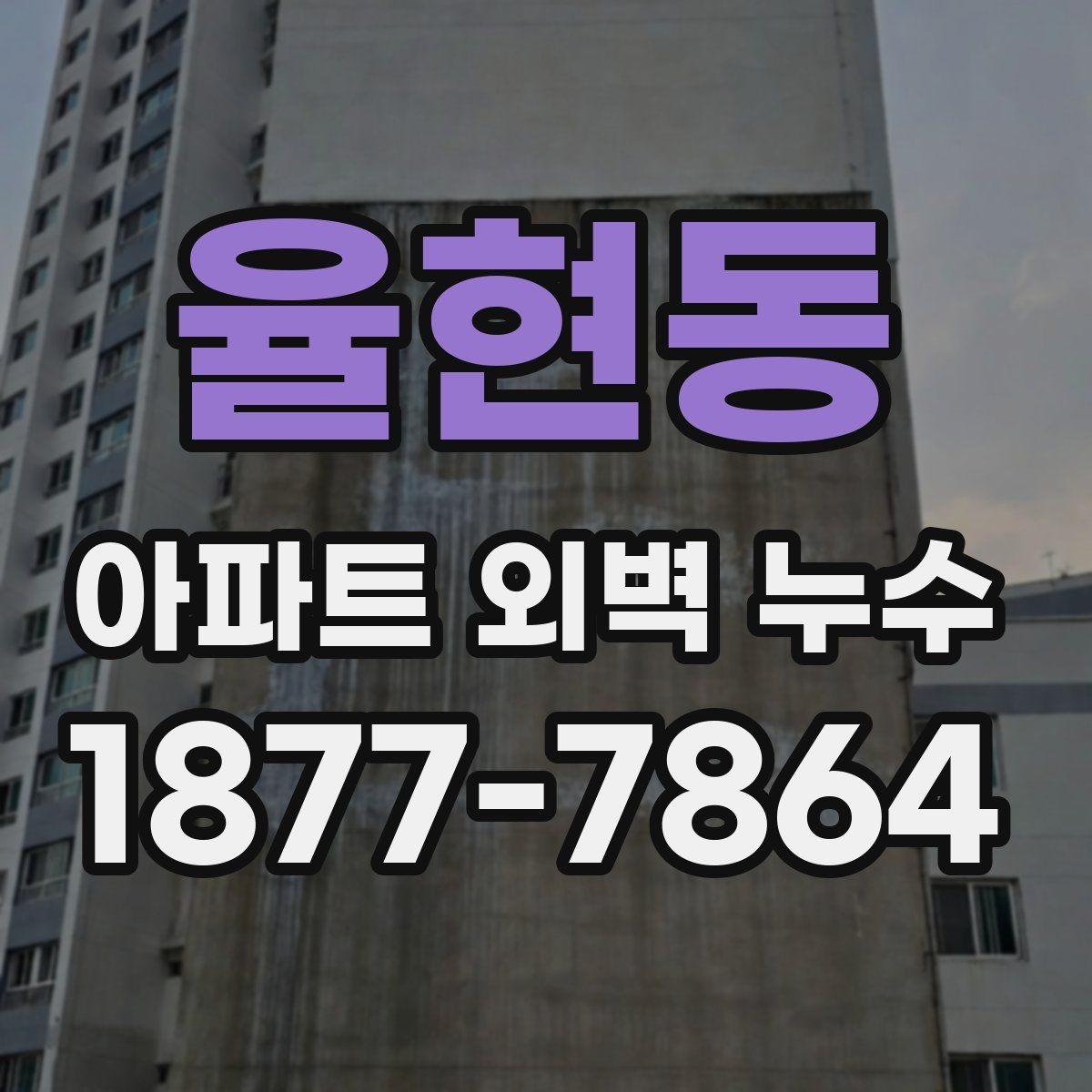 율현동 아파트 외벽 누수