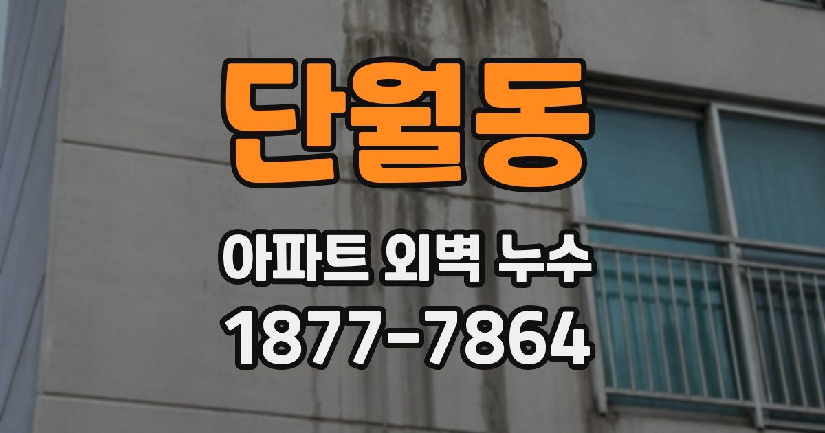 단월동 아파트 외벽 누수