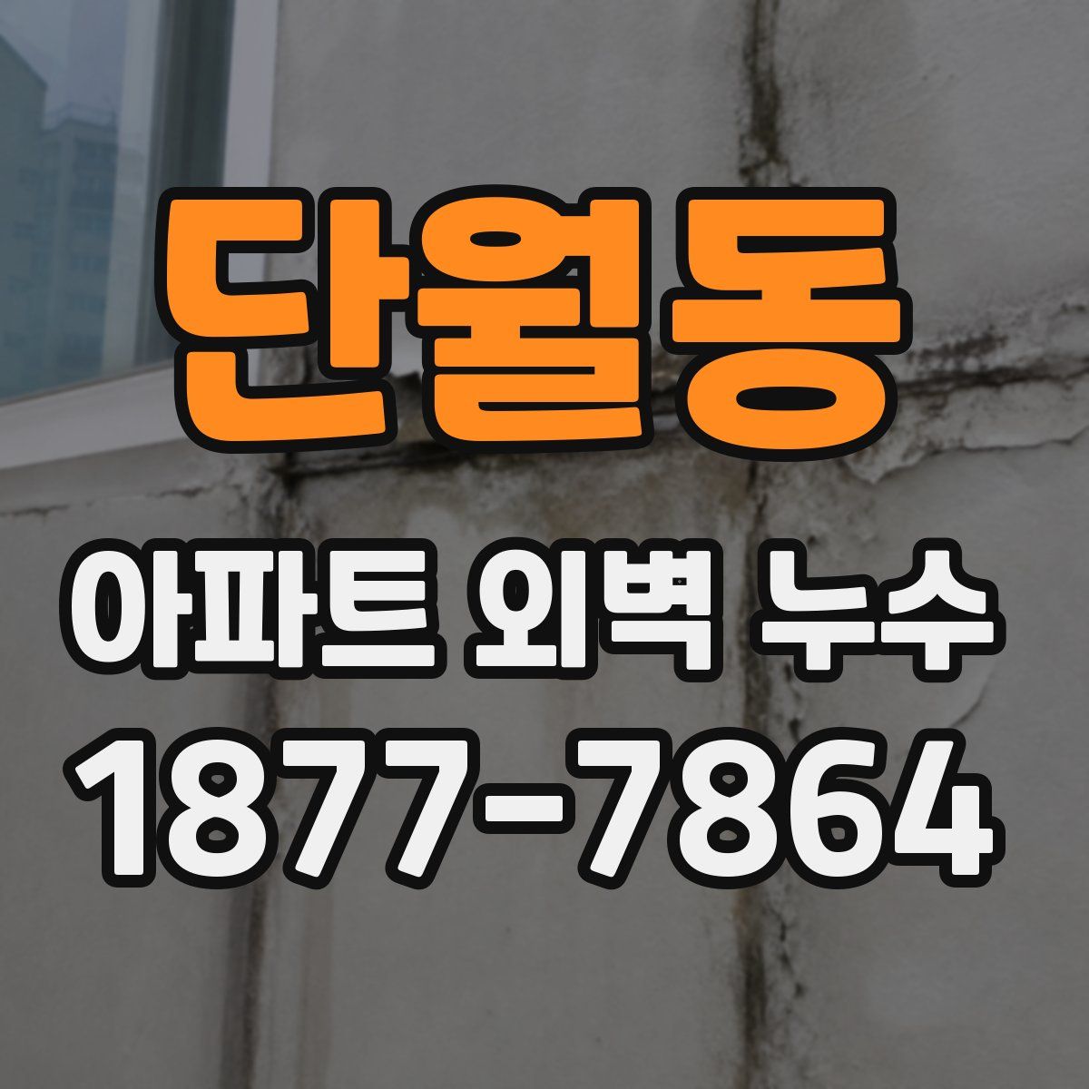 단월동 아파트 외벽 누수