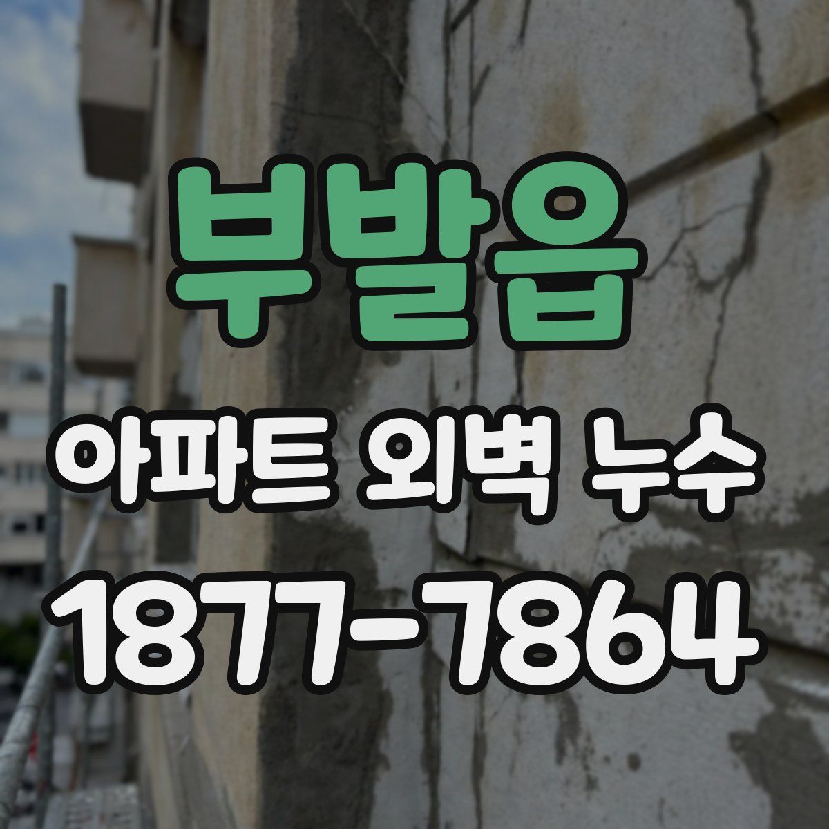 부발읍 아파트 외벽 누수