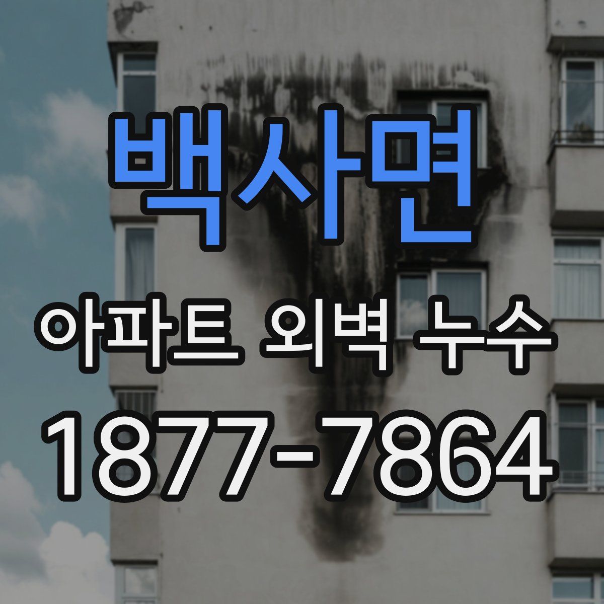 백사면 아파트 외벽 누수