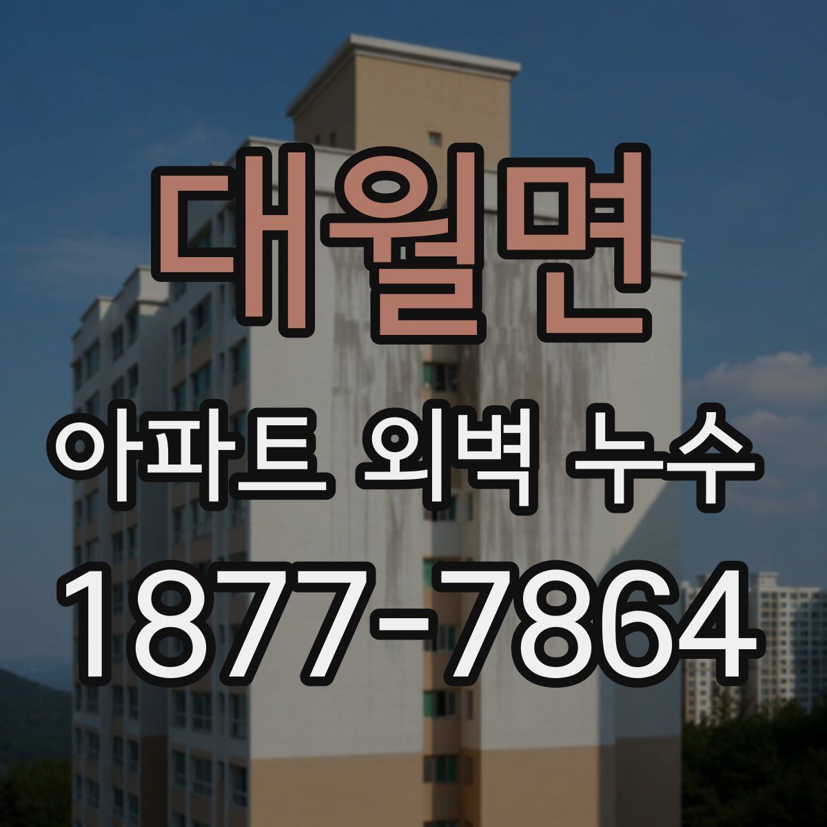 대월면 아파트 외벽 누수