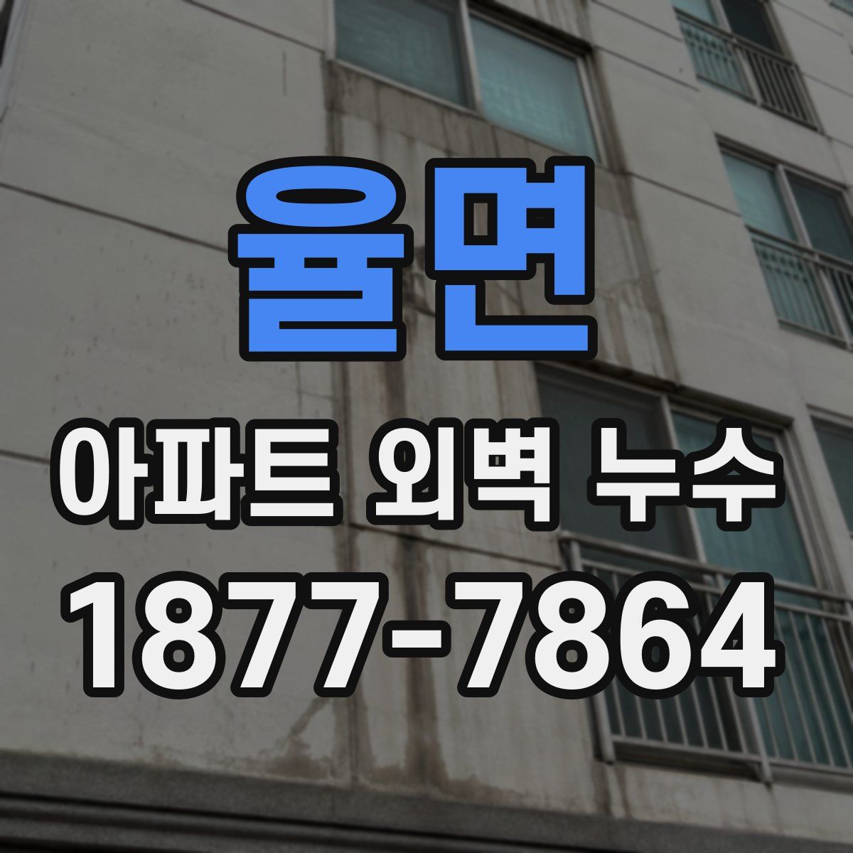 율면 아파트 외벽 누수