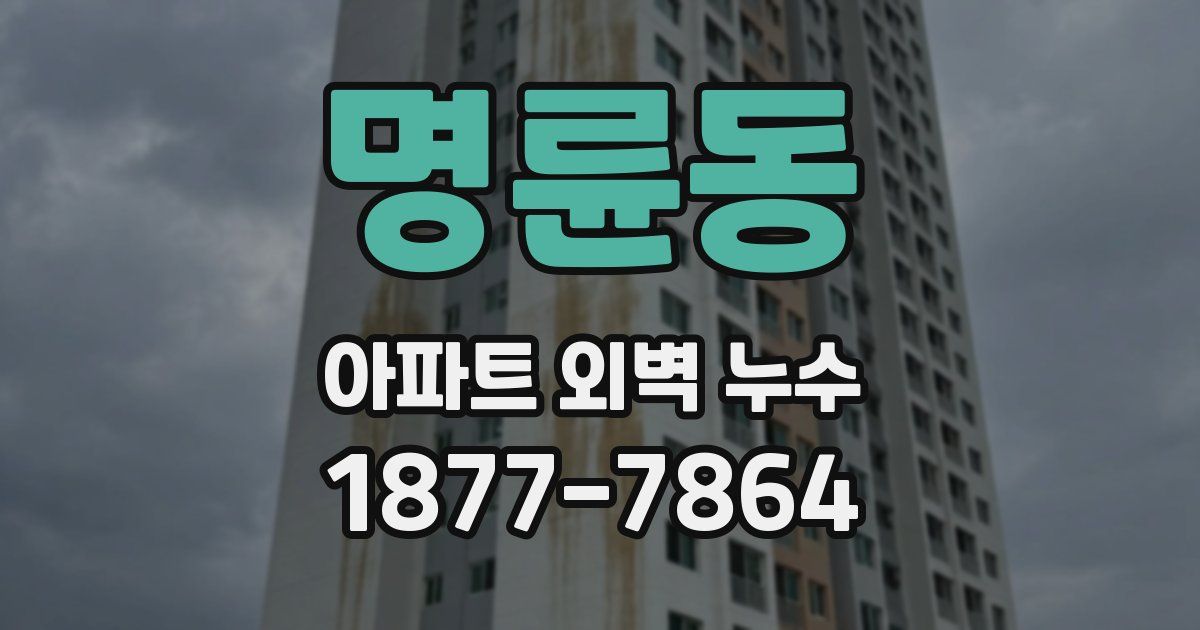 명륜동 아파트 외벽 누수
