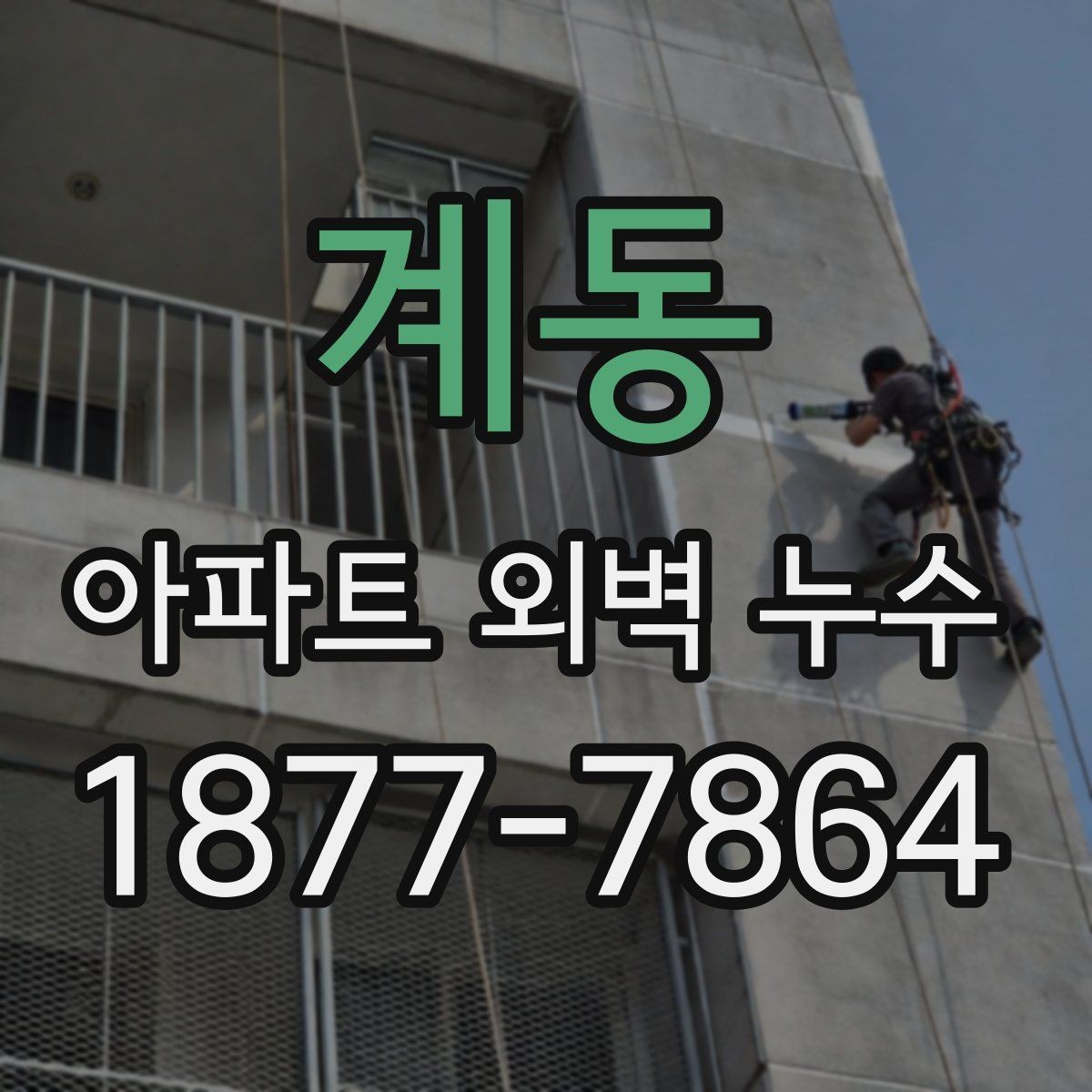 계동 아파트 외벽 누수 세대별 증상 차이 살펴보기