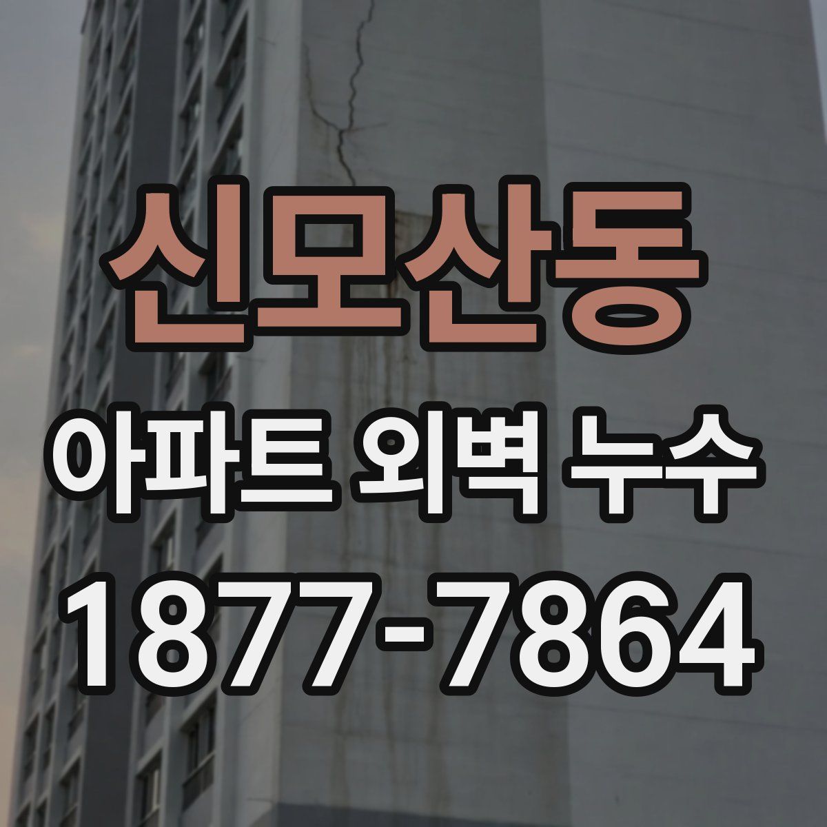 신모산동 아파트 외벽 누수