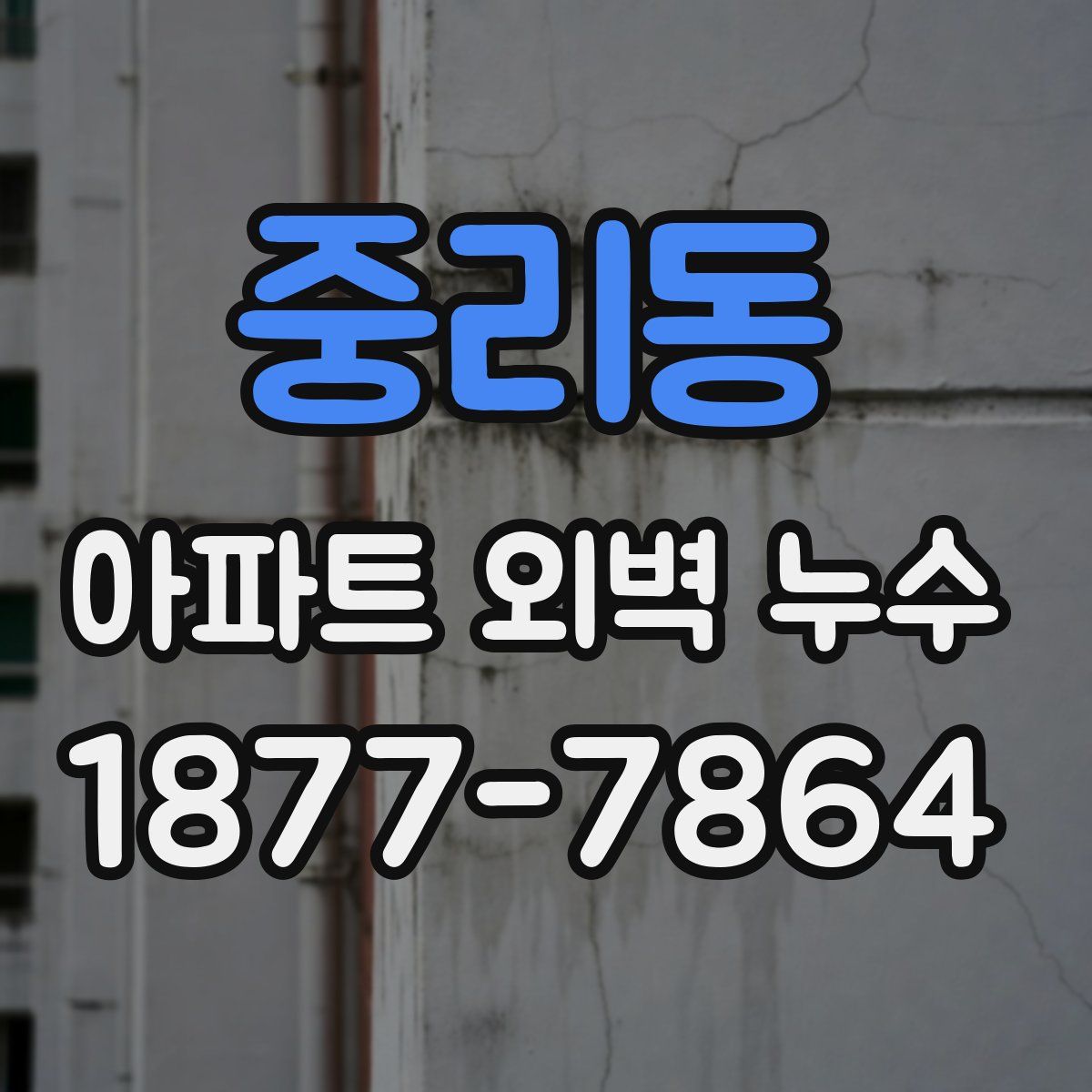 중리동 아파트 외벽 누수