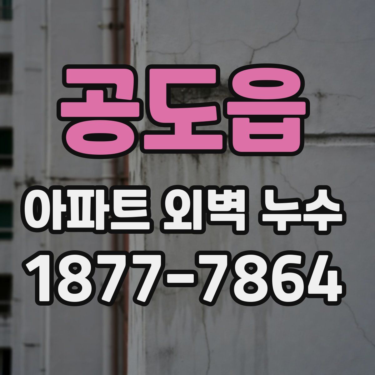 공도읍 아파트 외벽 누수