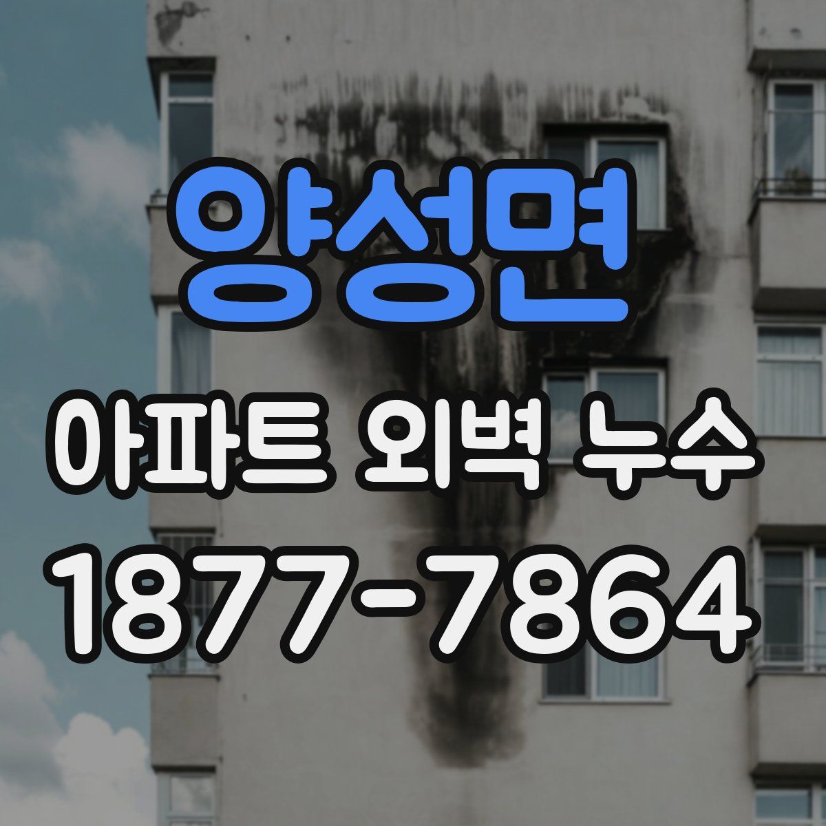 양성면 아파트 외벽 누수