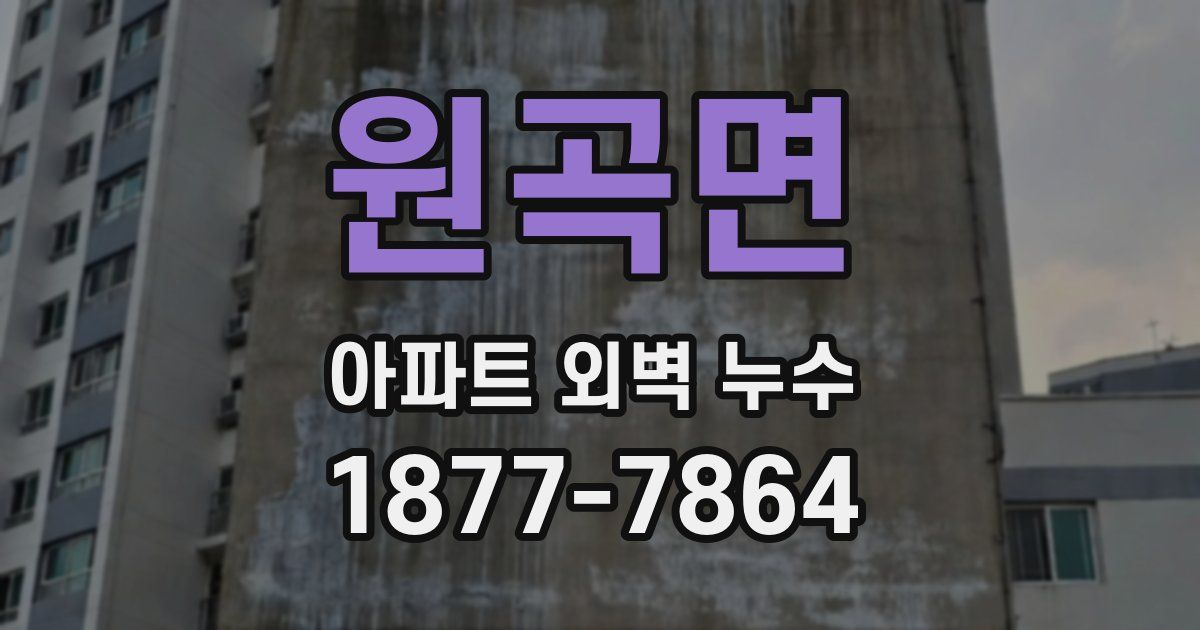 원곡면 아파트 외벽 누수